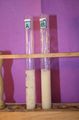 gal/LES_CINQUIEMES/ACTIVITE DIGESTION IN VITRO/Groupe_05/Groupe05_T_00h50min/_thb_Groupe05_T_00h_50min_14.JPG